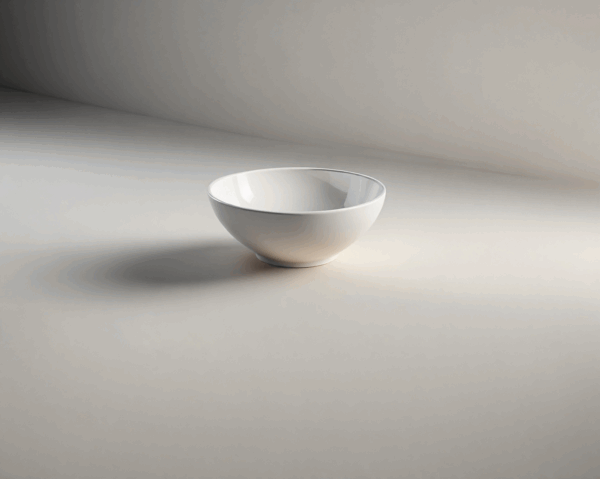 Rice Bowl