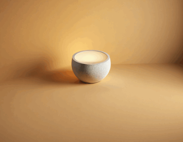 Flower Pot