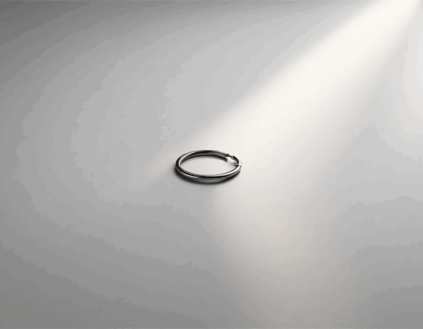 Key Ring