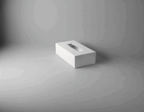 Tissue Box
